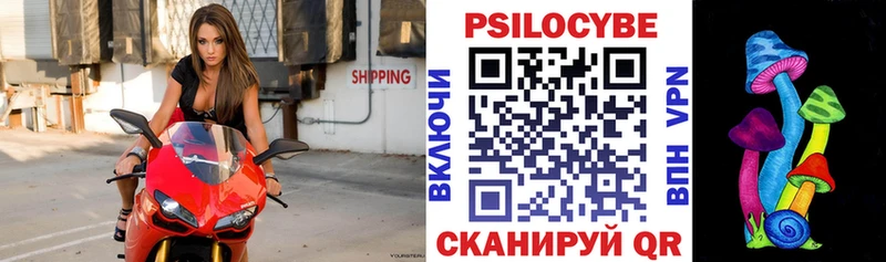 Псилоцибиновые грибы Psilocybine cubensis hydra как войти Нефтеюганск